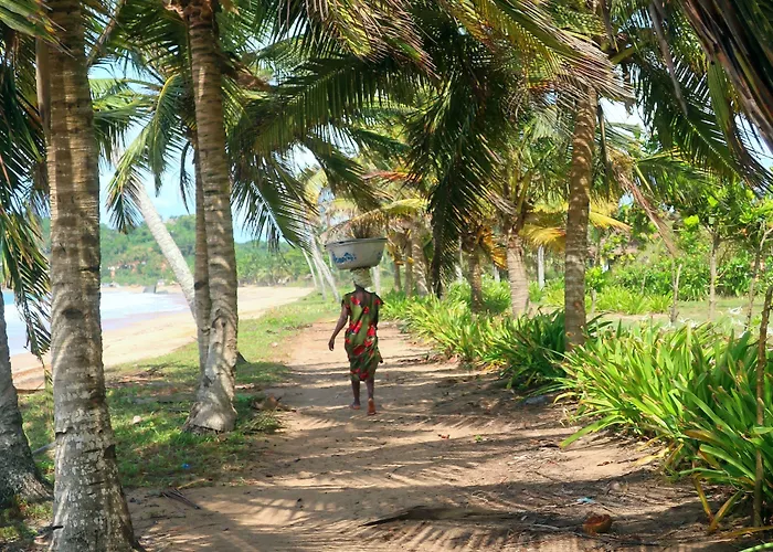 Afro Beach Eco Resort Butre